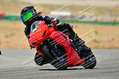 media/May-16-2025-2WTD (Fri) [[87c82739e1]]/B Group/Session 3 (Turn 4)/